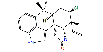 Hapalindole T